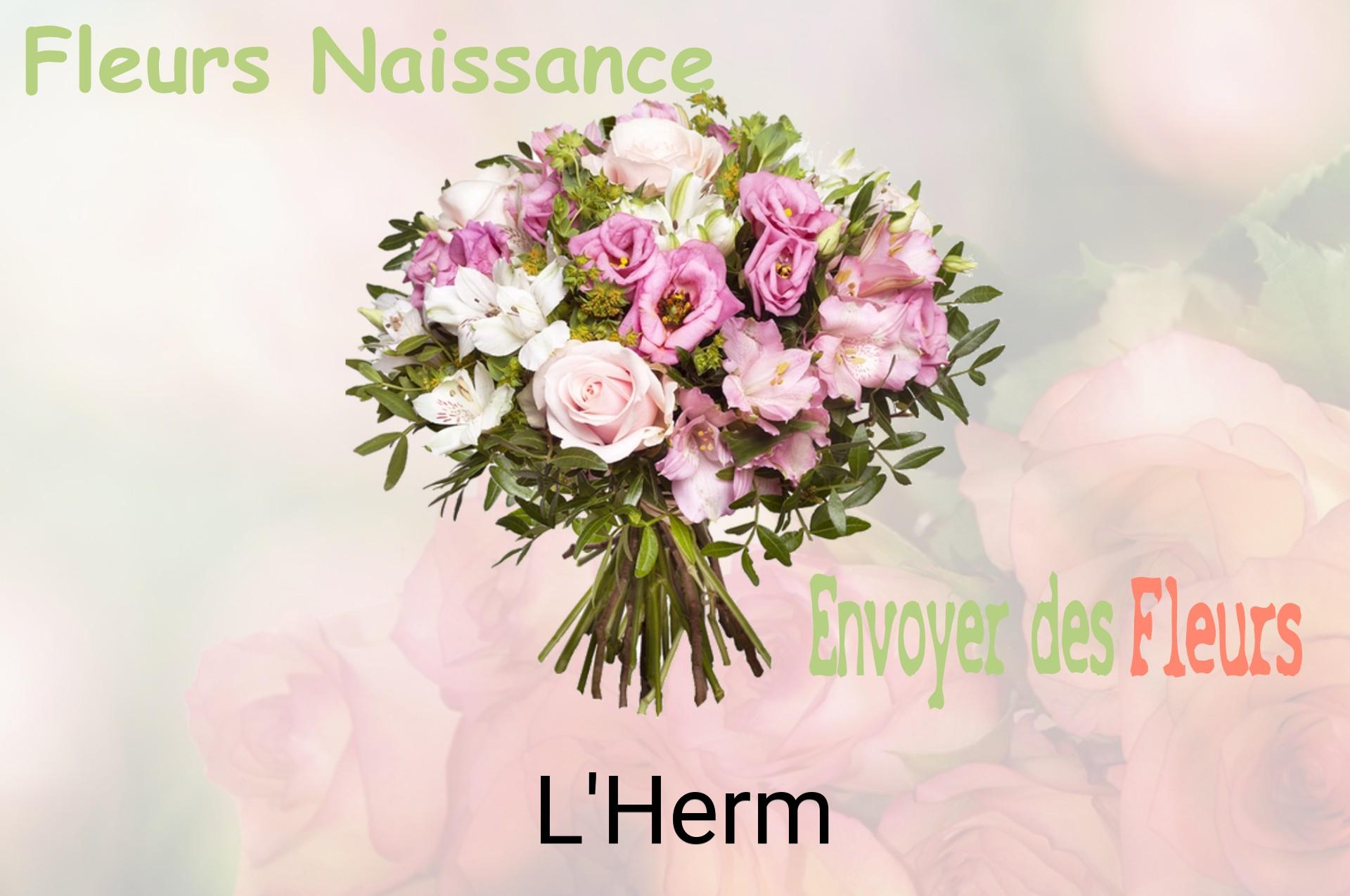 Bouquet de fleurs de naissance livré à L'Herm